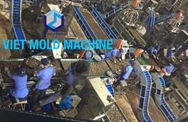 Raw Cashew Nuts Shelling System 