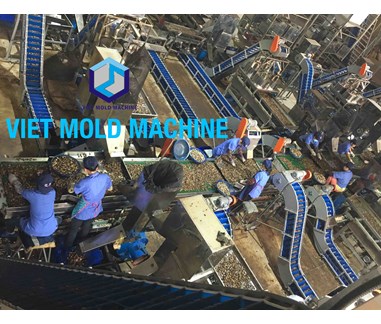 Raw Cashew Nuts Shelling System 