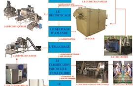 Cashew Processing Manufacture (French)