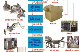 Quy trình chế biến hạt điều (tiếng Việt)