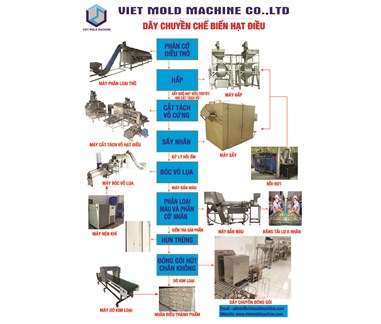 Cashew Processing Manufacture (Vietnamese)