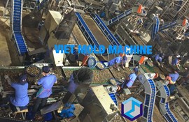 cashew shelling system for all size 40MT RCN/Day