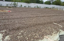 Raw material price rises