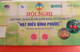 Hạt điều Bình Phước nhận văn bằng bảo hộ chỉ dẫn địa lý