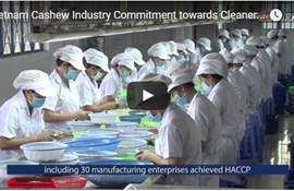 Hội nghị điều quốc tế VN 2016: "Ngành điều Việt Nam cam kết sản xuất sạch hơn vì sức khỏe cộng đồng"