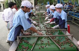 Scarcity of goods, the price of a record high