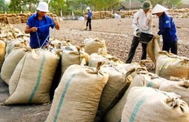 The industry face difficulties with lack of production materials