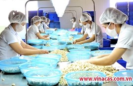 Phát triển công nghiệp chế biến: Nâng sức cạnh tranh cho nông sản xuất khẩu