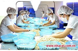 Phát triển công nghiệp chế biến: Nâng sức cạnh tranh cho nông sản xuất khẩu