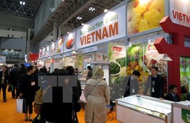 Vietnam promotes agricultural products at FOODEX International Fair in Japan
