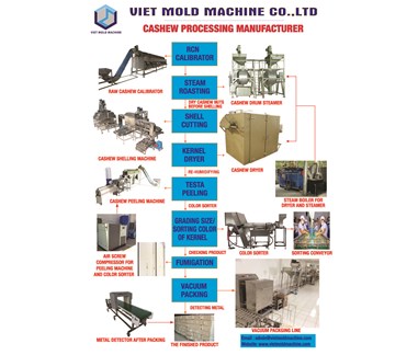 Quy trình chế biến hạt điều