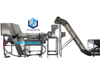 AUTO COLOR SORTER AND SIZING