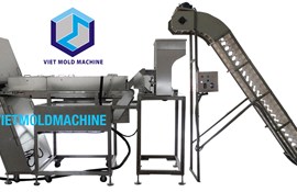 MÁY PHÂN LOẠI MÀU VÀ PHÂN CỠ NHÂN ĐIỀU