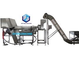 AUTO COLOR SORTER AND SIZING