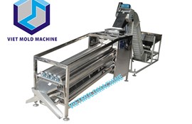 CASHEW KERNEL GRADER