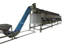 RAW CASHEW CALIBRATOR