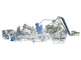 CASHEW SHELLING MACHINE SM2400-7CHS12 (NEW VERSION 2025)