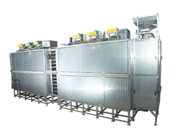 CONTINOUS CONVEYOR DRYER FOR CASHEW KERNELS