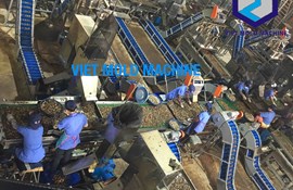 Cashew processing plant design 30 tons RCN/Day