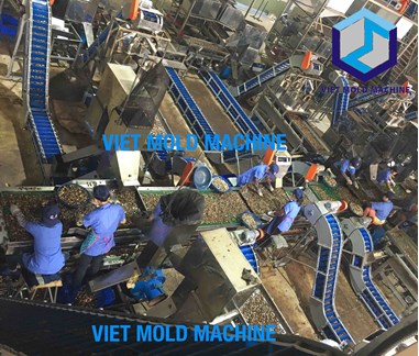 Cashew processing plant design 30 tons RCN/Day